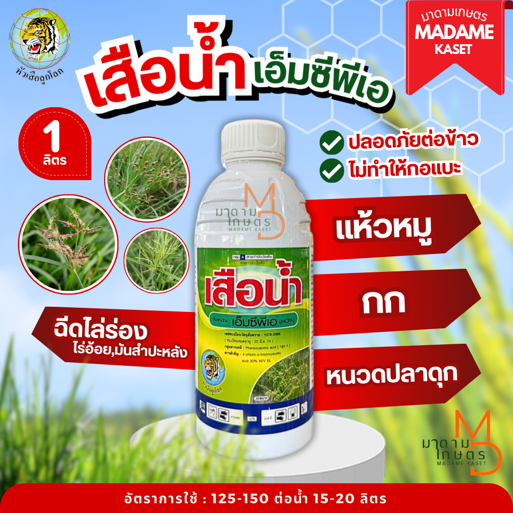 ใหม่! เสือน้ำ (เอ็มซีพีเอ) หัวเสือลูกโลก เก่งวัชพืชใบกว้าง แห้วหมู กก หนวดปลาดุก 1 ลิตร