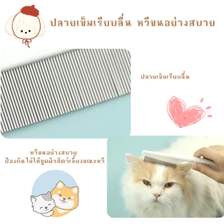 STOCK หวีหมัดสำหรับแมว ช่วยดูแลขน หวีแมว ทำจากสแตนเลส ด้ามจับออกแบบให้จับถนัดมือ ทำให้สัตว์เลี้ยงสุขภาพดีและสะอาด