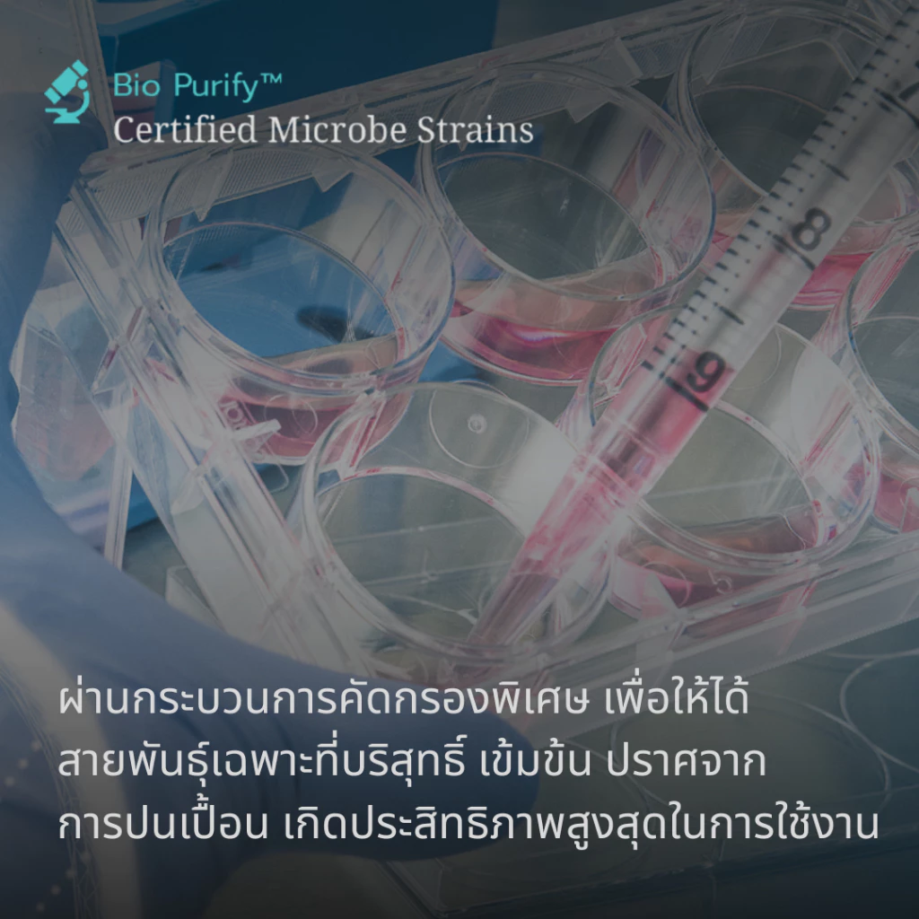 AquaCrystal ชีวภัณฑ์รักษาสมดุลคุณภาพน้ำ thumbnail 5