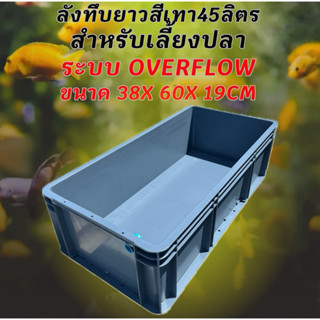 ลังพลาสติกแบบยาวทึบสีเทา ท่อสีฟ้า ระบบover flow สำหรับเลี้ยง…