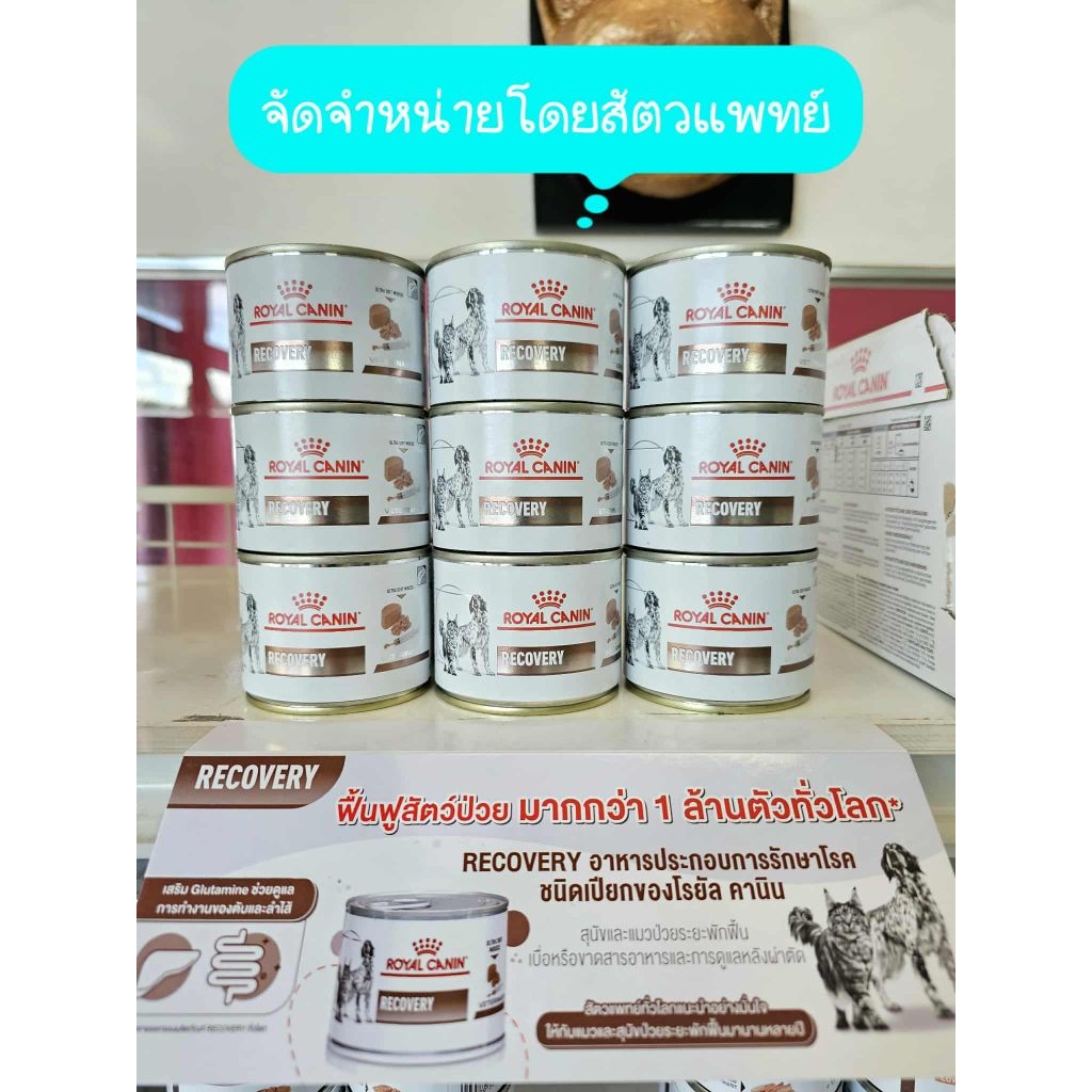 อาหารเปียก สุนัข/แมว ระยะพักฟื้น/หลังผ่าตัด ย่อยง่าย ให้พลังงานสูง Recovery Royal Canin  195 g.