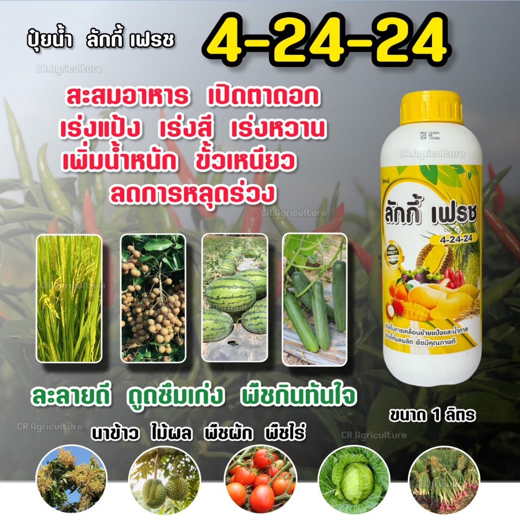 ปุ๋ยน้ำ ลักกี้เฟรช 4-24-24  ปุ๋ยทางใบ เร่งดอก เปิดตาดอก ติดผลดี เร่งรวง เร่งหวาน สร้างแป้ง น้ำหนักดี