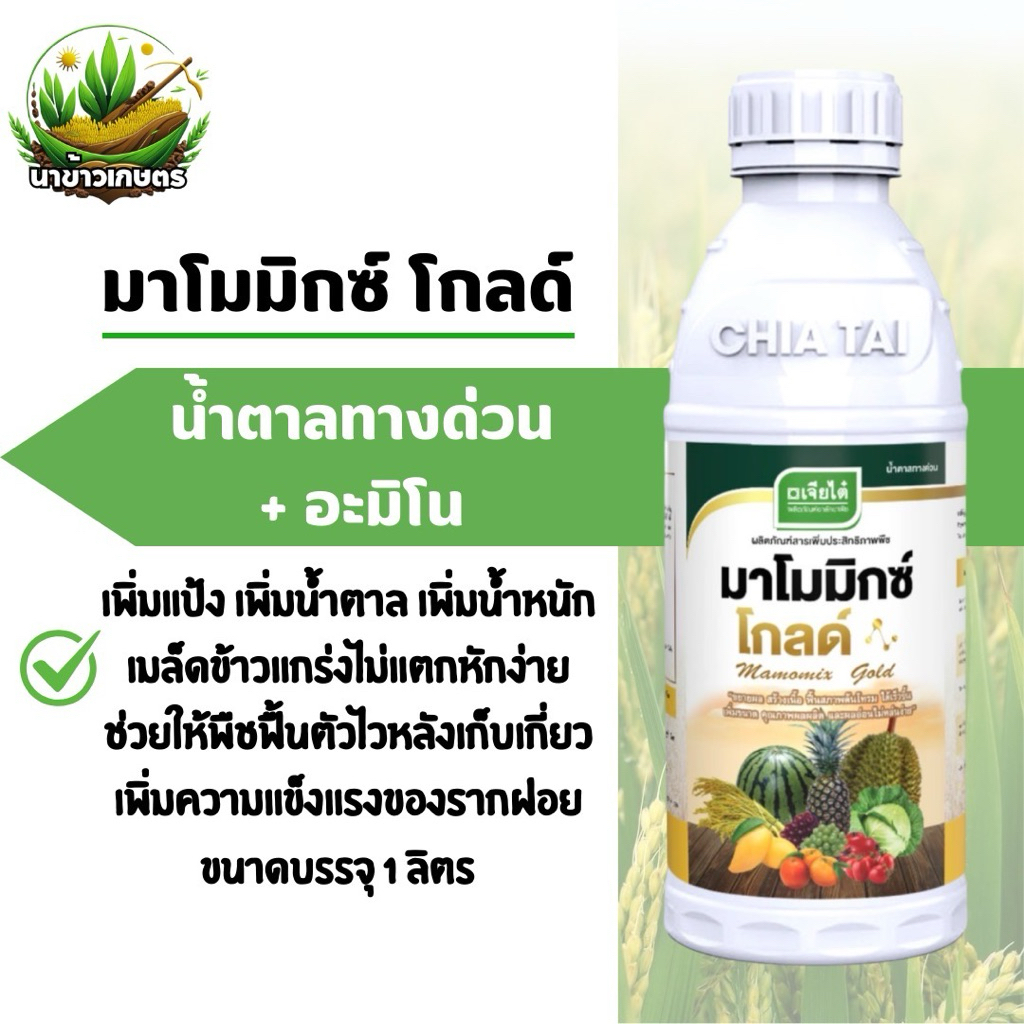 มาโมมิกซ์โกลด์ เจียไต๋ น้ำตาลทางด่วน+อะมิโน 1 ลิตร เพิ่มความแข็งแรกของราก เพิ่มผลผลิตให้แก่ข้าวและพืชได้ทุกชนิด
