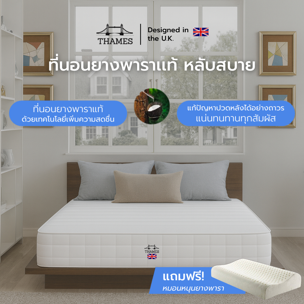 Thames ที่นอนยางพารา Hybrid หนา 6 นิ้ว  แน่น ทนทานทุกสัมผัส แก้อาการปวดหลัง แถมฟรีหมอนยางพาราแท้