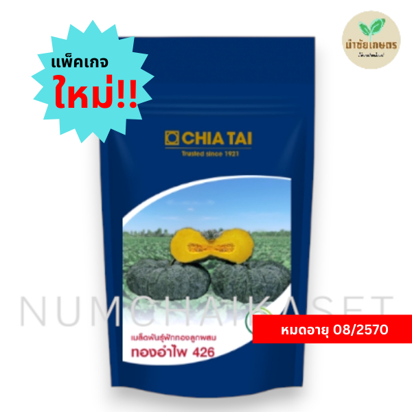 เจียไต๋ ฟักทอง ทองอำไพ 426