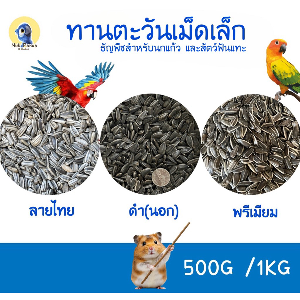 (คัดเกรด)ทานตะวันนกเม็ดเล็ก ฮังการีนอก ธัญพืชสำหรับนกแก้วและสัตว์ฟันแทะ เมล็ดทานตะวันลายไทย ดำ(นอก)