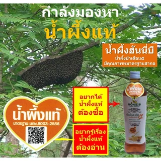 ฮันนี่บี น้ำผึ้งป่า น้ำผึ้งเดือน๕ 1200 กรัม น้ำผึ้งแท้ มาตรฐาน มกษ.8003-2556 อาหารเสริมของขวัญของฝาก
