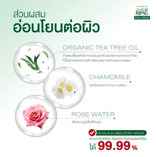 (ซื้อ 2 แถม 1) Tea Tree ที ทรี เจลอาบน้ำ มายด์แอนด์ดีพคลีน 500 มล. (ครีมอาบน้ำ, Shower Gel, Body Wash) ผิวระคายเคืองง่าย