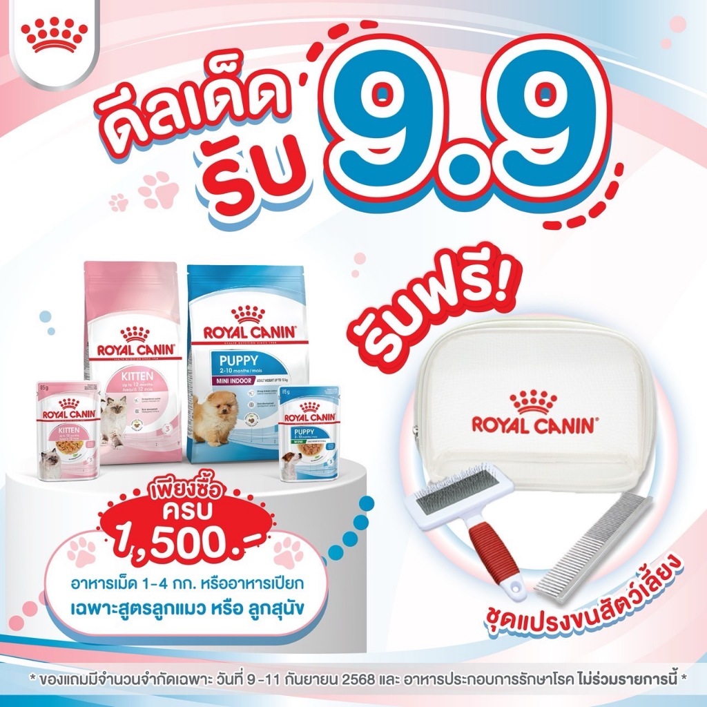 ชุดแปรงขนสำหรบสัตว์เลี้ยง