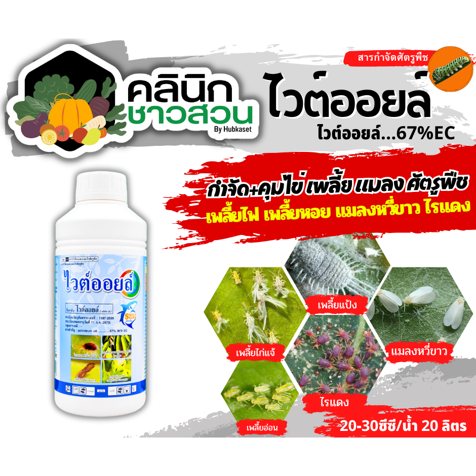 ไวต์ออยล์ (ไวต์ออยล์) บรรจุ 1ลิตร ป้องกันเพลี้ยหอย เพลี้ยไฟ เพลี้ยแป้ง เพลี้ยไก่แจ้ส้ม ไรแดง แมลงหวี่ขาว