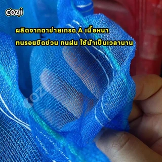 ถุงตาข่ายไนล่อน(ฟ้า) ใช้ห่อผลไม้กันแมลง ถุงใส่ขวด ถุงใส่ของ ถุงใส่ปลา ถุงใส่กบ ถุงเลี้ยงหอย มีเชือกรูดปากถุง ถุงมุ้งฟ้า