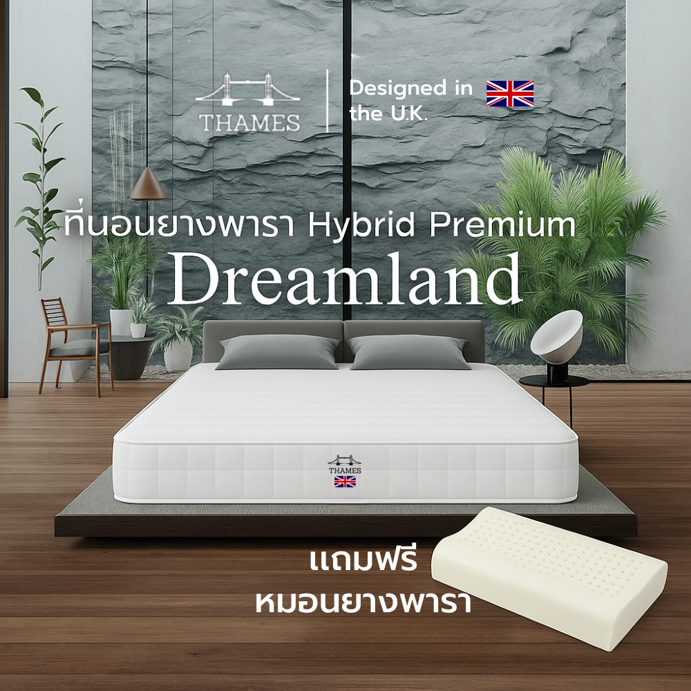 Thames ที่นอนยางพารา หนา 6 นิ้ว รุ่น Dreamland ไม่ยุบแน่นอน แก้ปวดหลัง แก้ปวดเมื่อย แถมหมอน