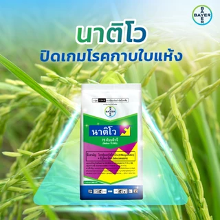 นาติโว75wg 250กรัม ป้องกันกำจัดโรคพืช เชื้อรา เมล็ดด่าง ข้าวสวยเต็มรวง เมล็ดเต่ง รวงใหญ่และน้ำหนักดี