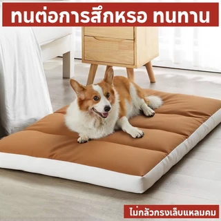 พร้อมส่ง🔥เบาะสัตว์เลี้ยง กันน้ำกันรา100% Waterproof Pet Bed ​ ที่นอนหมา ที่นอนเเมว ที่นอนสุนัข เบาะหมาใหญ่