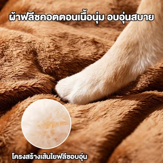 ที่นอนสัตว์เลี้ยง ที่นอนแมว ที่นอนสุนัข ที่นอนสุนัข ที่นอนนุ่ม อุ่น หลับสบาย ที่นอนแมว ที่นอนสัตว์เลี้ยง