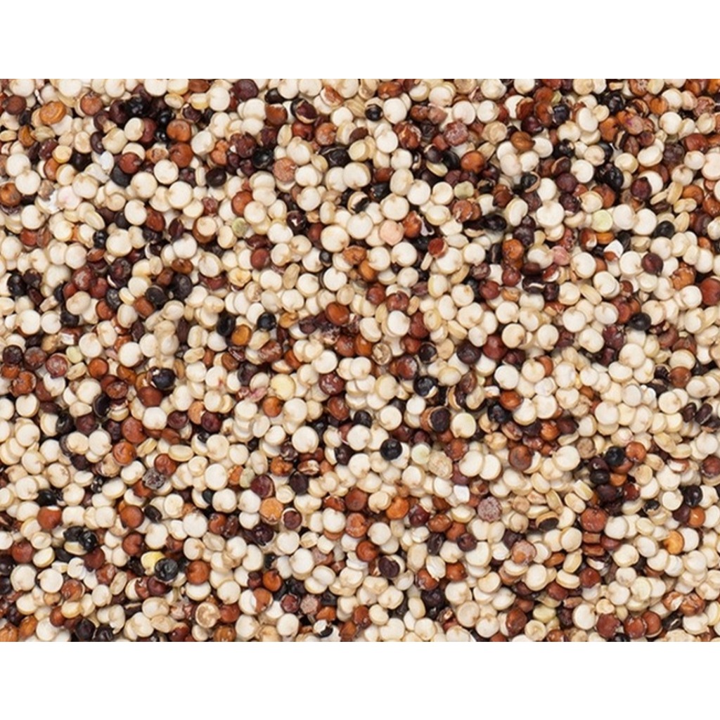 ควินัว 3 สี (100g.) JPP ธัญพืชจากธรรมชาติ ไฟเบอร์สูง โปรตีนสูง อิ่มนาน พลังงานต่ำ  อาหารเจ อาหารมังสวิรัติ VEGAN