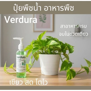 Verdura สารอาหารพืชสูตรเข้มข้น ปุ๋ยน้ำต้นไม้ สำหรับไม้ใบ ไม้อวบน้ำ ไม้สะสม ไฮโดรโปนิกส์
