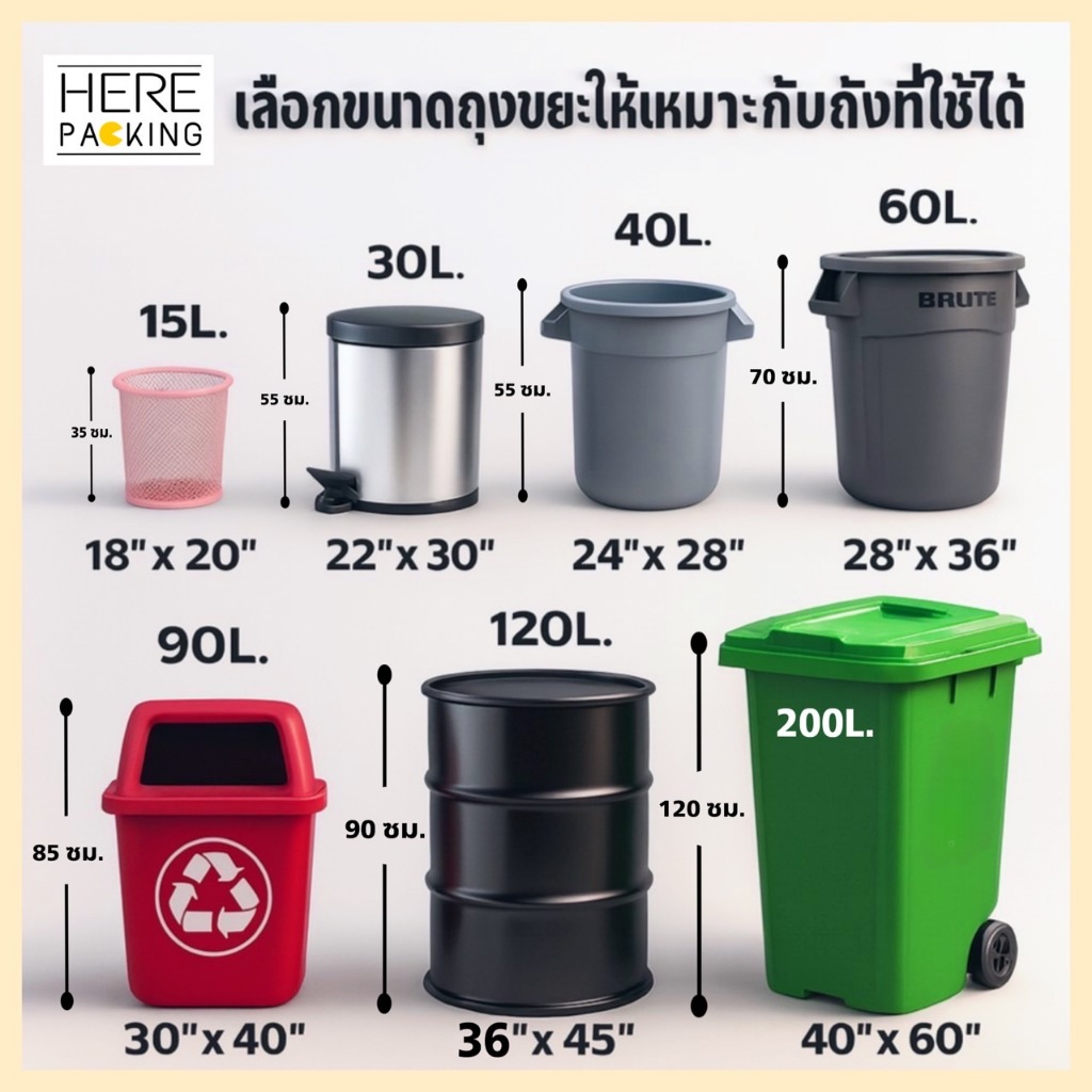 รูปภาพ 2