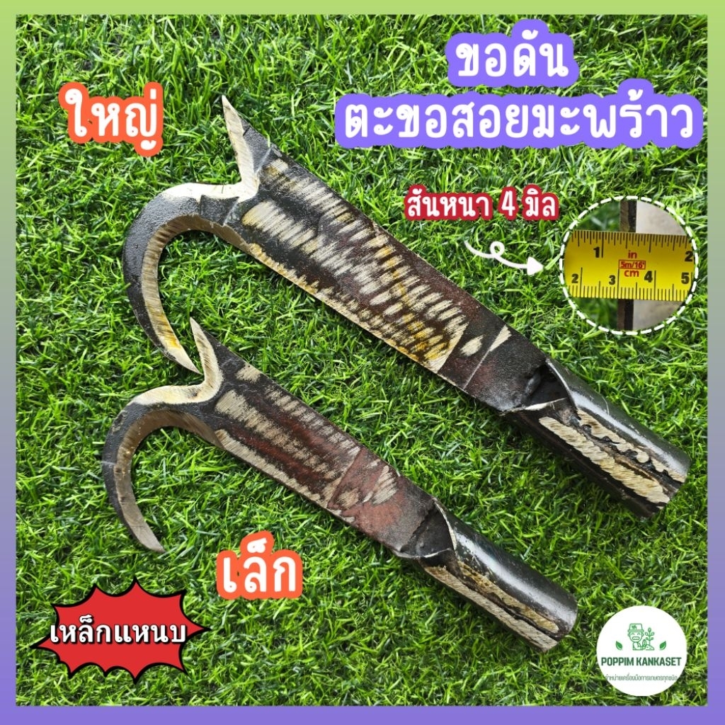 ขอดัน ตะขอสอยมะพร้าว ขอเกี่ยว มี 2 ขนาด ตะขอคม เกี่ยวง่าย เหล็กแหนบแท้