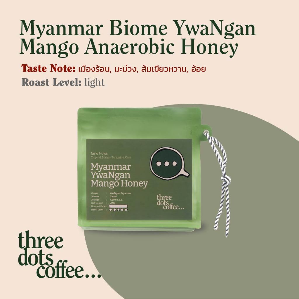 Myanmar Biome YwaNgan Mango Anaerobic Honey