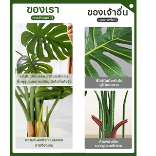 GAIDING-ต้นไม้มงคล ต้นไม้ปลอมใหญ่ 70/80CM18ใบ/15ใบ เขียวชอุ่มตลอดปี ไม่ต้องบำรุงรักษา เลียนแบบสีใบไม้จริงและสีไม่ซีดจาง
