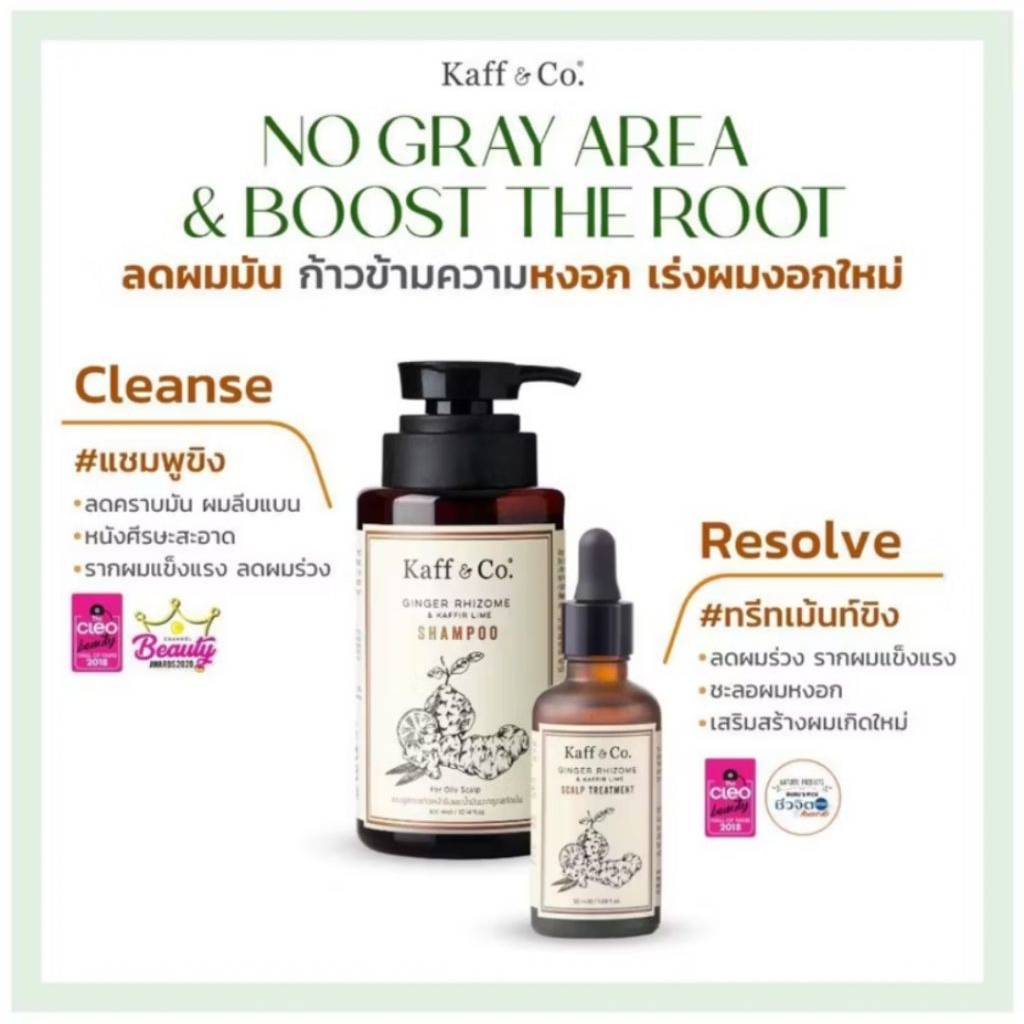 Kaff & Co. หนังศีรษะแห้ง มัน ผมร่วง คัน มีรังแค Lime Essential Oil / Ginger Rhizome & Kaffir Lime Sh