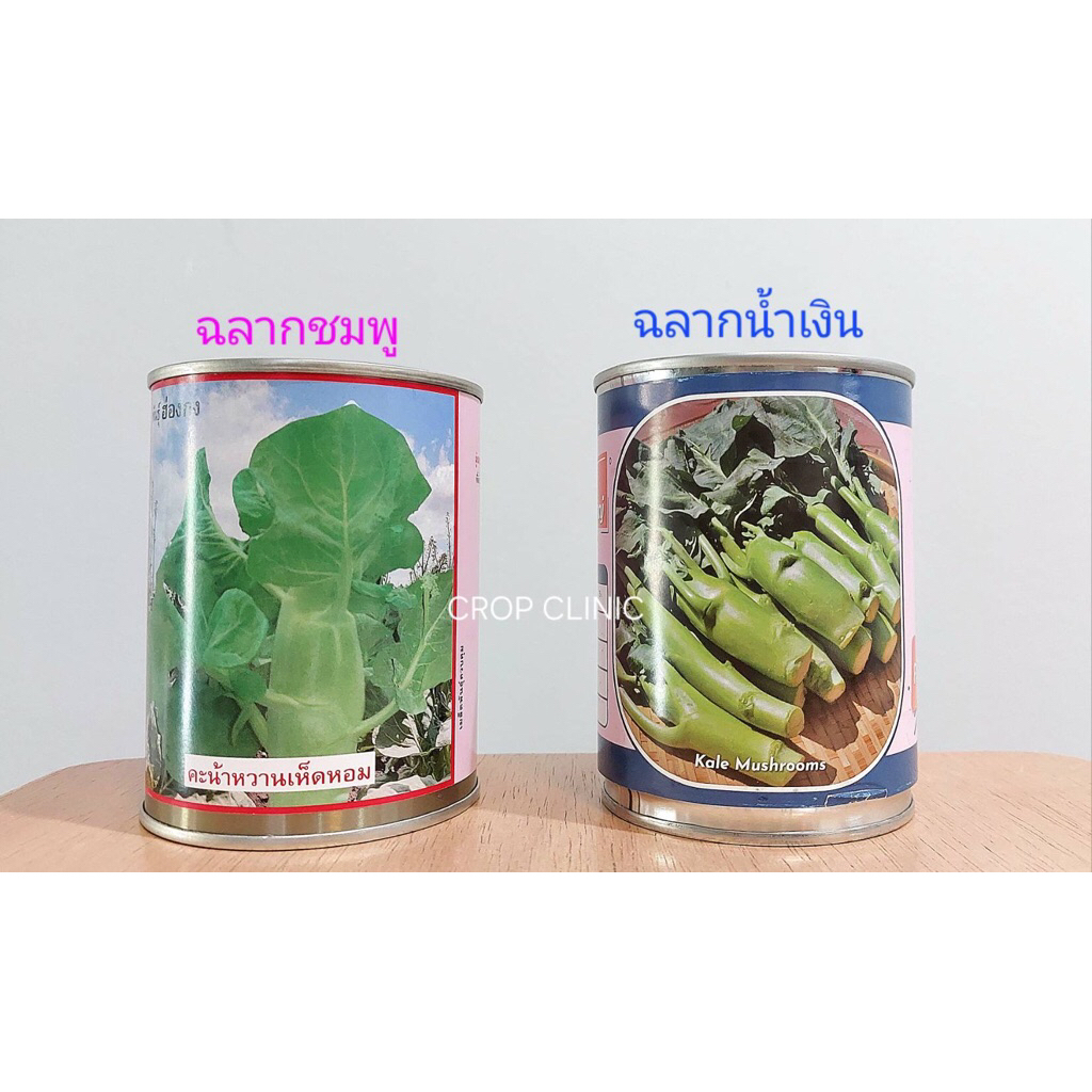 เมล็ดพันธุ์คะน้าหวานเห็ดหอม พันธุ์ฮ่องกง ตราลูกโลก 60 กรัม