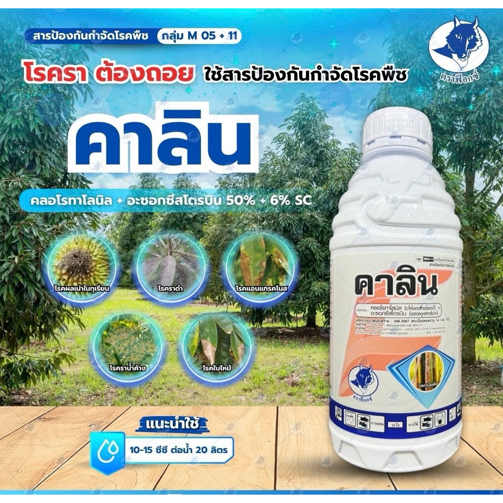 คาลิน (คลอโรทาโลนิล+อะซอกซีสโตรบิน)สารกำจัดและป้องกันโรคพืช -1 ลิตร
