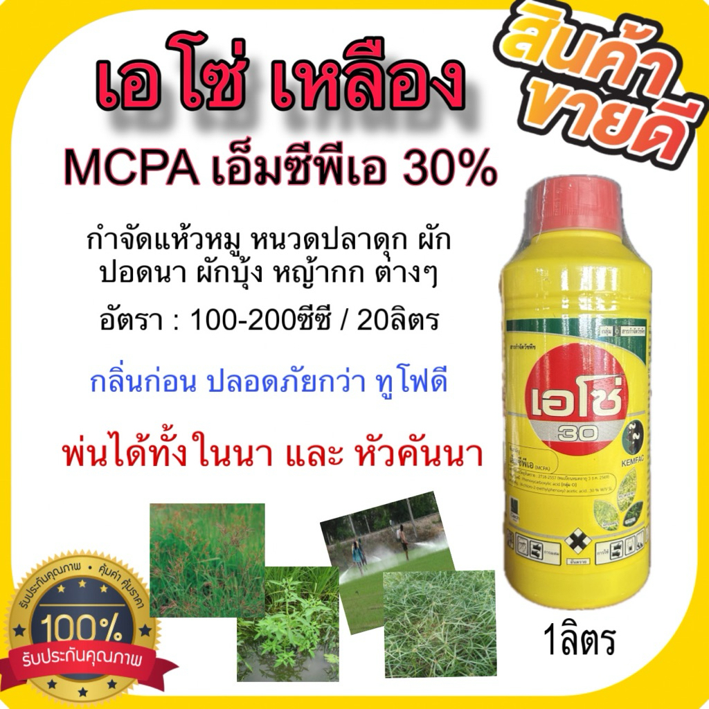 เอโซ่(เหลือง) 1ลิตร ยาฆ่าหญ้า สารกำจัดวัชพืช MCPA 30% กำจัดแห้วหมู หนวดปลาดุก ผักปอดนา ผักบุ้ง หญ้าก