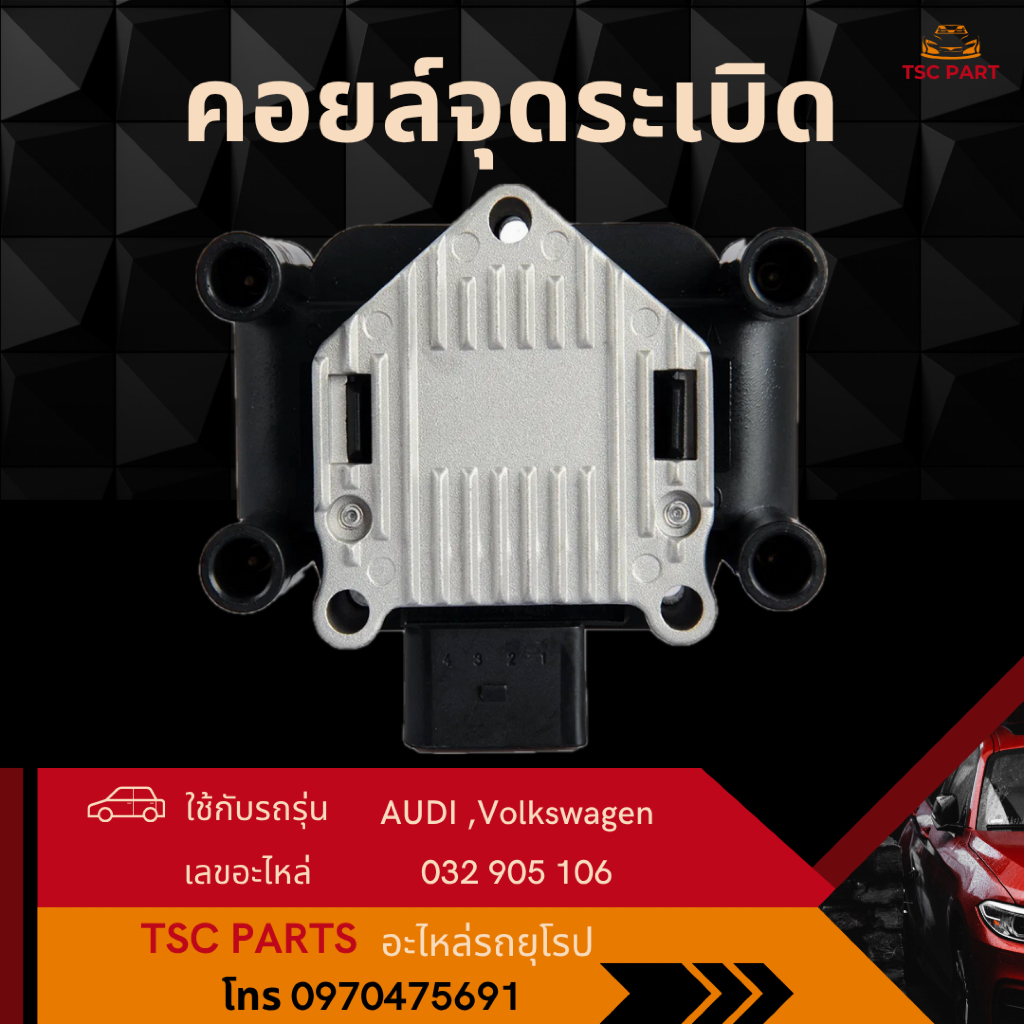 คอยล์จุดระเบิด Audi A3(8L/8P) A4(B5/B6/B7) A6(C5) TT(8N) Volkswagen Golf,Jetta(MK4/MK5) New Beetle(9
