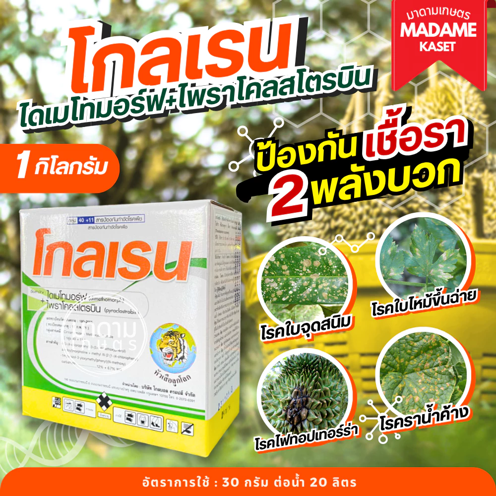 โกลเรน 1 กิโลกรัม (ไดเมโทมอร์ฟ+ไพราโคลสกโตรบิน) ป้องและกำจัดเชื้อรา ราน้ำค้าง โรคใบไหม้ ไฟทอป โรคใบติด ต้นเน่าผลเน่า