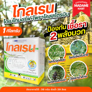 โกลเรน 1 กิโลกรัม (ไดเมโทมอร์ฟ+ไพราโคลสกโตรบิน) ป้องและกำจัดเชื้อรา ราน้ำค้าง โรคใบไหม้ ไฟทอป โรคใบติด ต้นเน่าผลเน่า