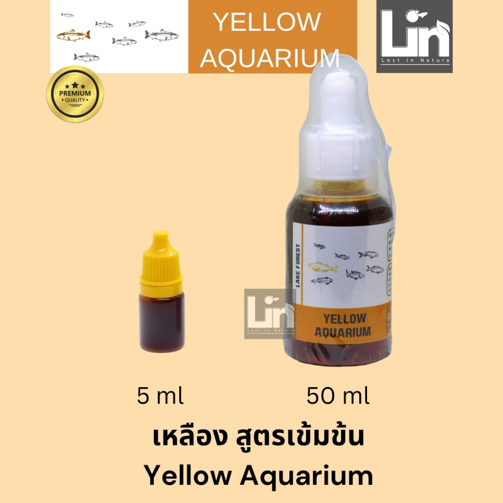 เหลืองเข้มข้น yellow aquarium