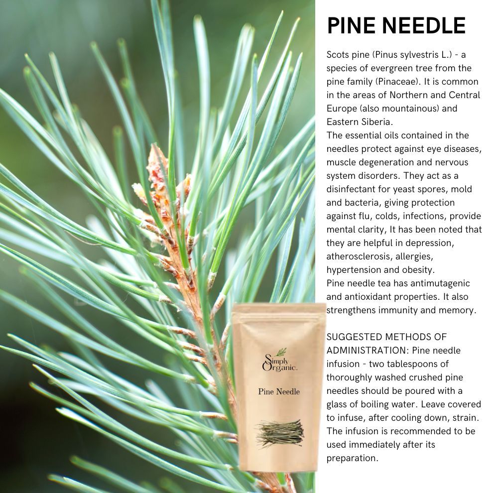 Organic Pine Needle 15g – Natural, Eco-Friendly Herbal Tea