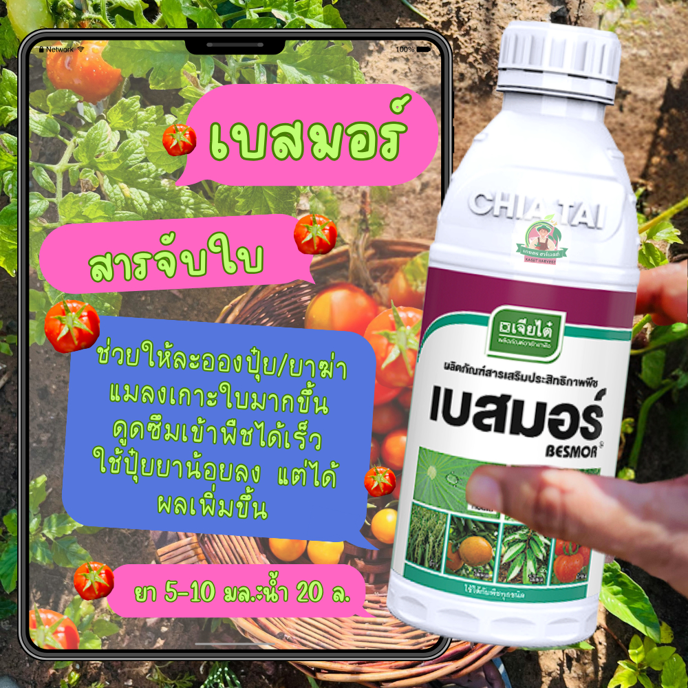 เบสมอร์ 1 ลิตร สารจับใบ เจียไต๋ สารเสริมประสิทธิภาพพืช