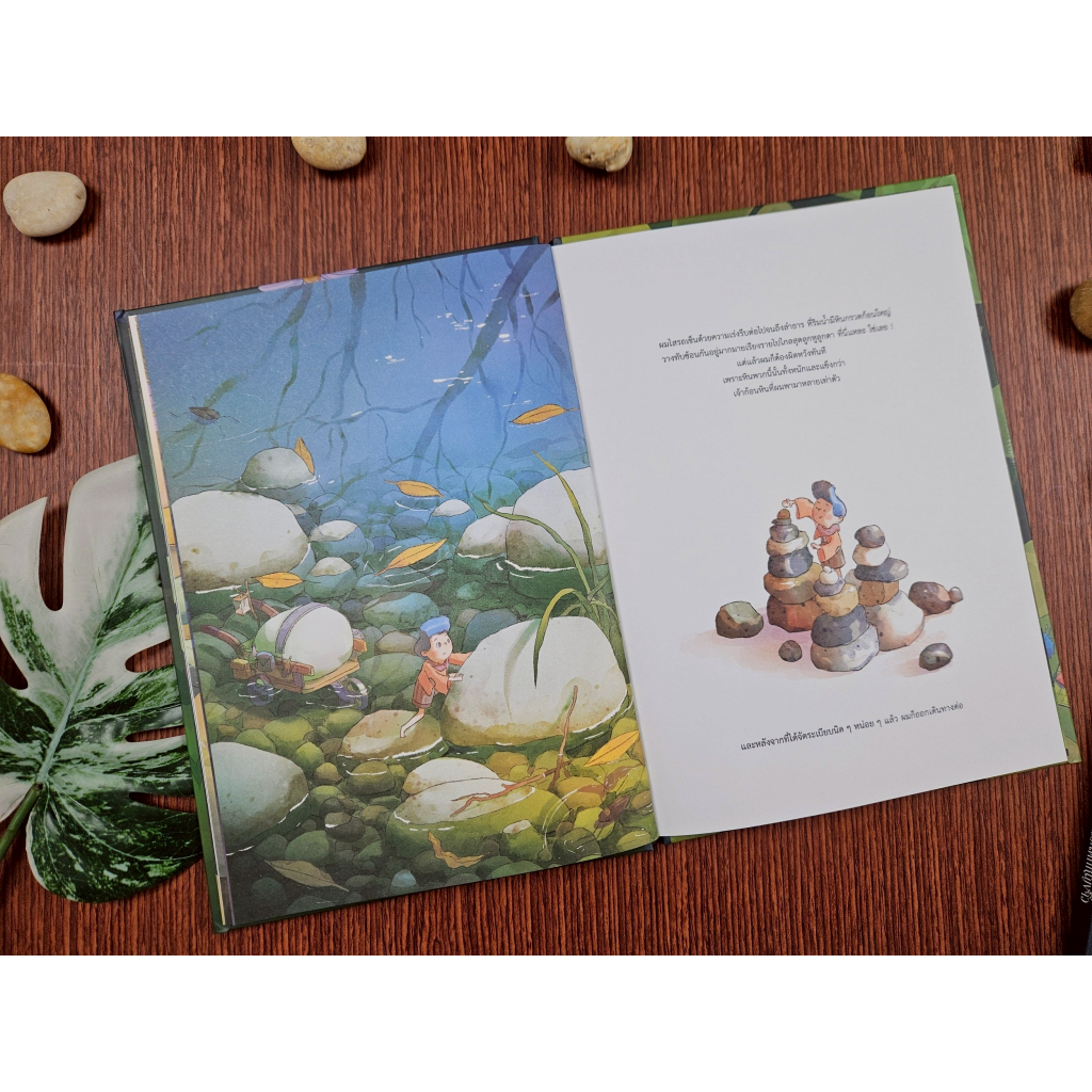 Little Heart หนังสือนิทาน ก้อนหินประหลาดของเด็กชายจิ๋ว นิทานหมอประเสริฐแนะนำ (76767) ราคา ถูกที่สุด ดีลบีเคเค แกลเลอรีภาพที่ 5