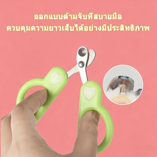 กรรไกรตัดเล็บ แมว กรรไกรตัดเล็บสุนัข ที่ตัดเล็บแมว สุนัขเล็ก ใช้ง่ายแม้มือใหม่ ใบมีดสแตนเลสทนทาน ใช้งานง่าย กรรไกรตัด