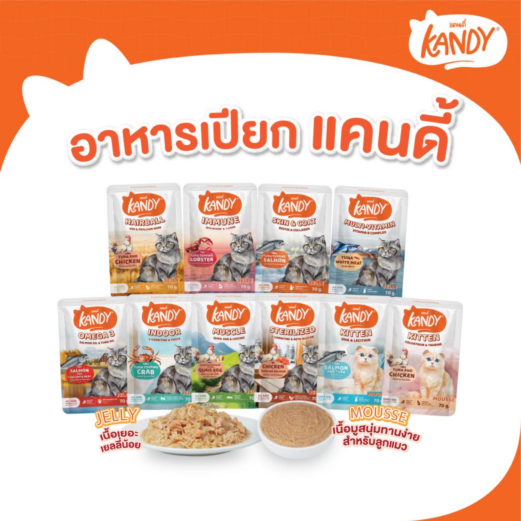 [แบบโหล,12ซอง] Kandy Cat Wet Food 70g. อาหารแมวแคนดี้ ชนิดเปียก ขนาดซองละ 70 กรัม มีให้เลือก 10 สูตร