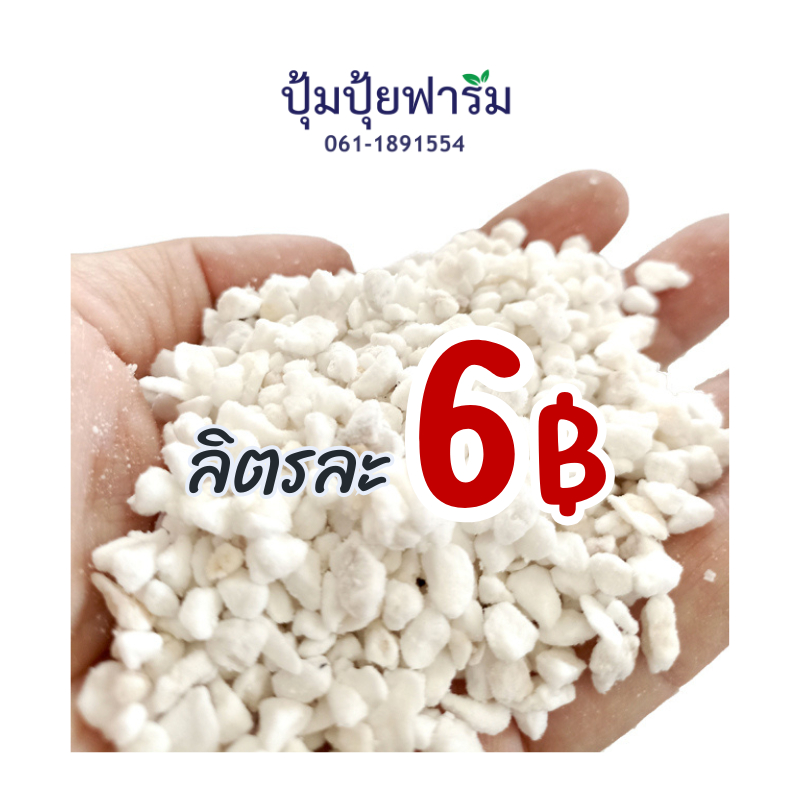 6 บาท! เพอร์ไลท์ (Perlite) 1ลิตร(90-120กรัม) *เมื่อซื้อ 12 ลิตรขึ้นไป  เม็ดสวย ขาว ฝุ่นน้อย 4-8mm