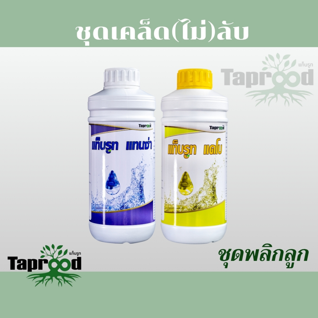 ชุดพลิกลูก แทนซ่า+แคโบ