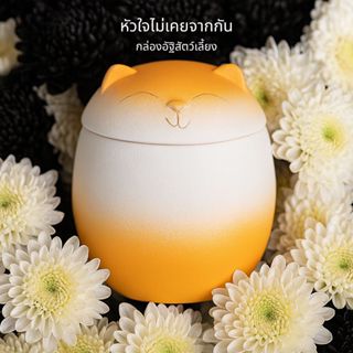 Harmcat โถใส่กระดูกสุนัข โถใส่กระดูกสัตว์เลี้ยง โถใส่อัฐิ โก…