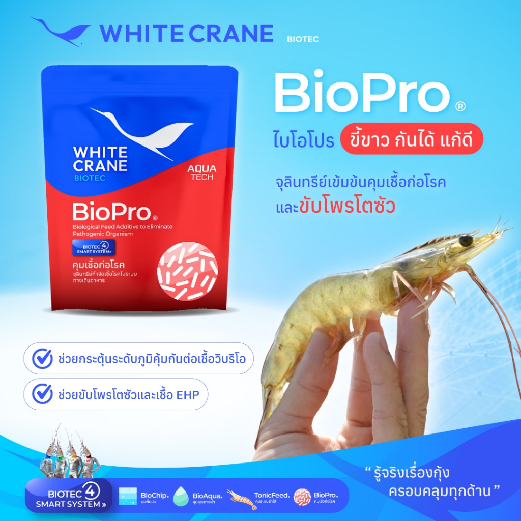BioPro - ไบโอโปร จุลินทรีย์แก้ขี้ขาว สูตรเข้มข้นพิเศษ กุ้งกินอาหารไม่ถอย ขนาด 100 กรัม