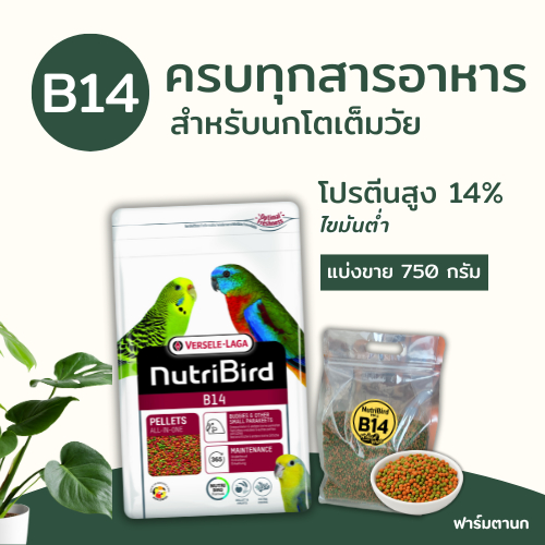 Nutribird B14 อาหารนกอัดเม็ด สำหรับนกขนาดเล็ก-กลาง สูตรนกโตเต็มวัย (แบ่งขาย 750 g)