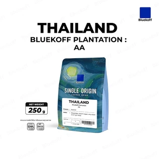 Bluekoff Plantation: AA เมล็ดกาแฟ ไทย อราบิก้า 100% Arabica 100% (1 ถุง บรรจุ 250 กรัม)