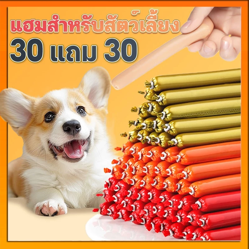 【30 แถม 30】ไส้กรอกแฮม เกรดA ไส้กรอกสุนัข สุนัขอาหารหมา อาหารแมว ขนมแมว ขนมสุนัขแปรรูปจากเนื้อ เป็ด ไก่ ปลา 60 ซอง