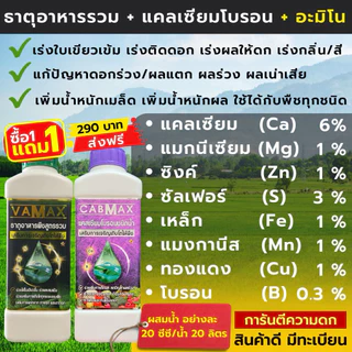 [2แถม2] CabMax+VaMax แคลเซียมโบรอนเข้มข้ม แถม ปุ๋ยธาตุรวม
