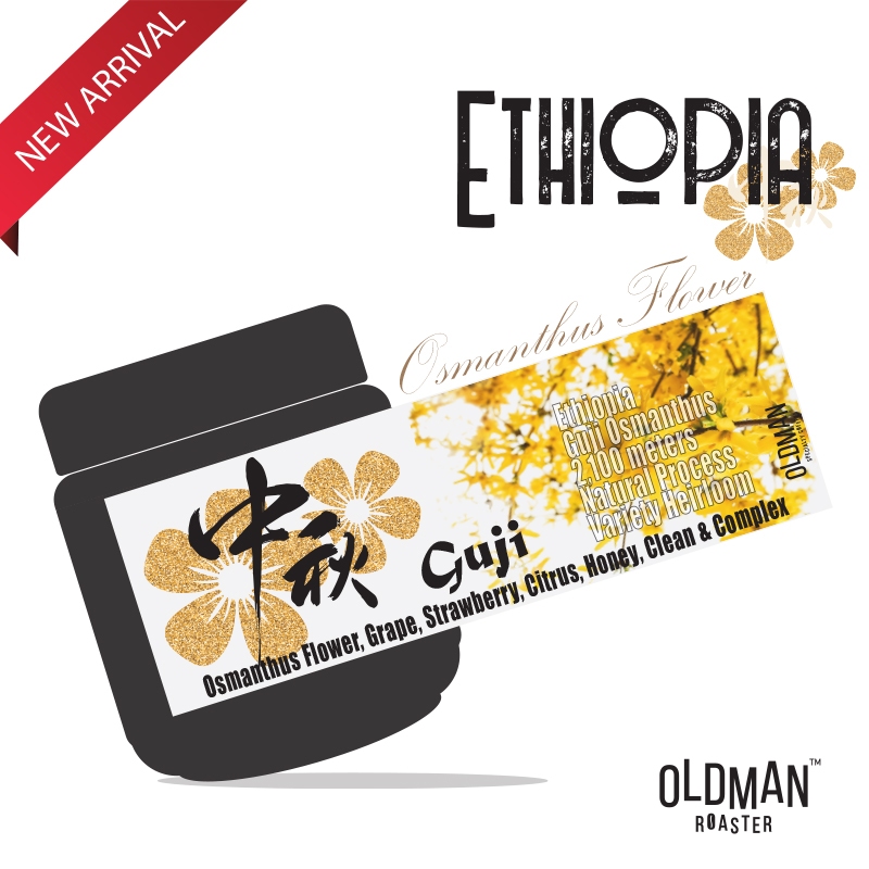 เมล็ดกาแฟ " หอมหมื่นลี้ " ETHIOPIA  OSMANTHUS  FLOWER  (คั่วอ่อน) LIGHT ROAST by OLDMAN ROASTER