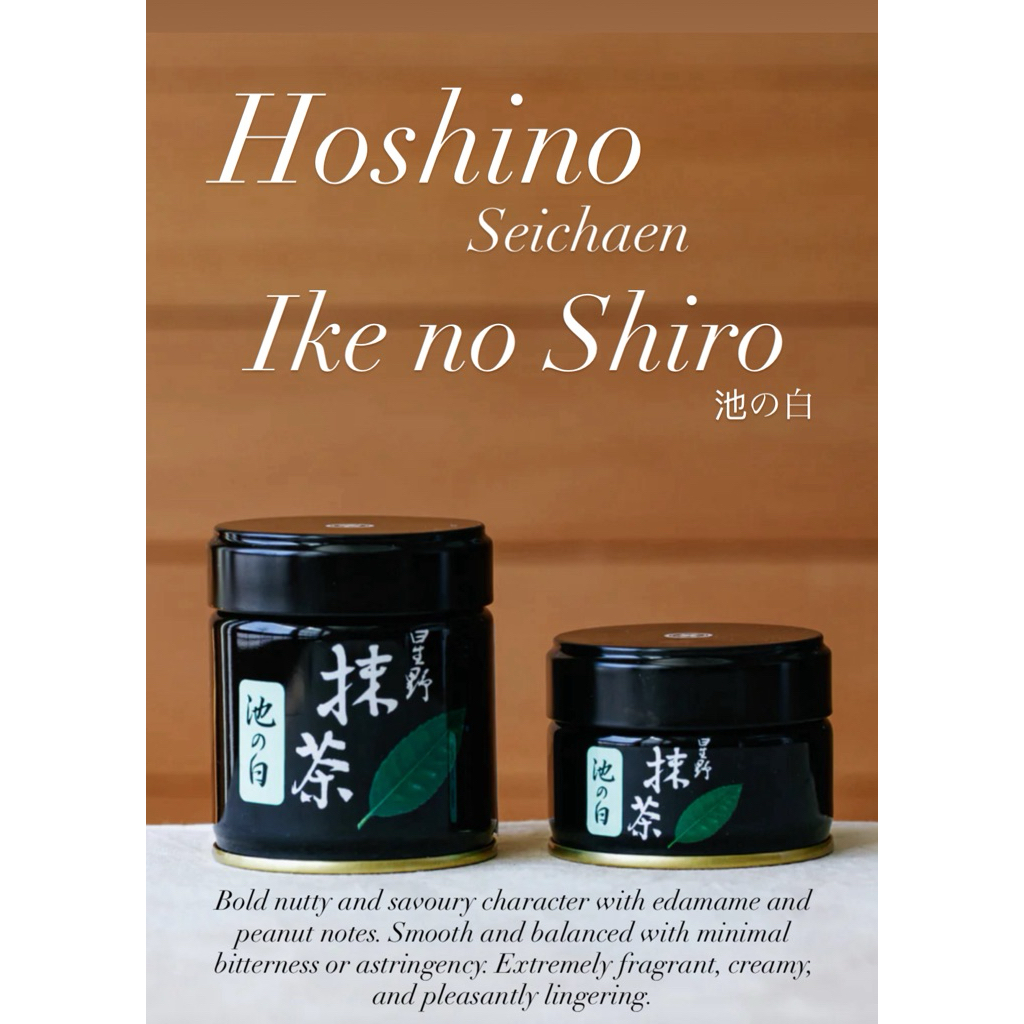 Ike no shiro Hoshino Seichaen พร้อมส่ง