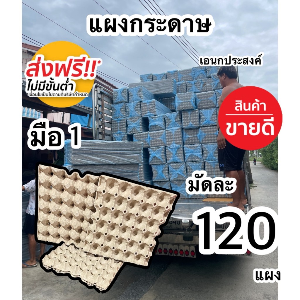 แผงไข่กระดาษ ชุดละ120ใบ มือ1 ส่งฟรี
