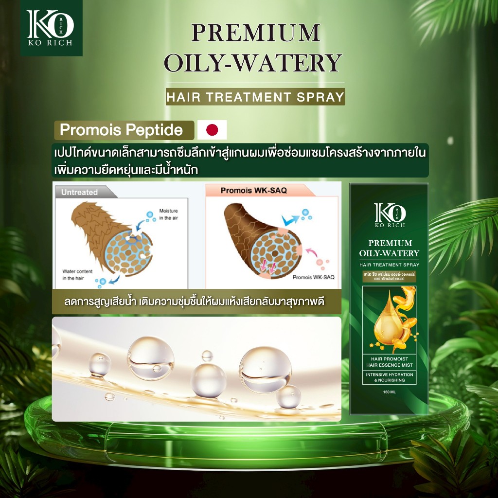 รูปภาพ 5